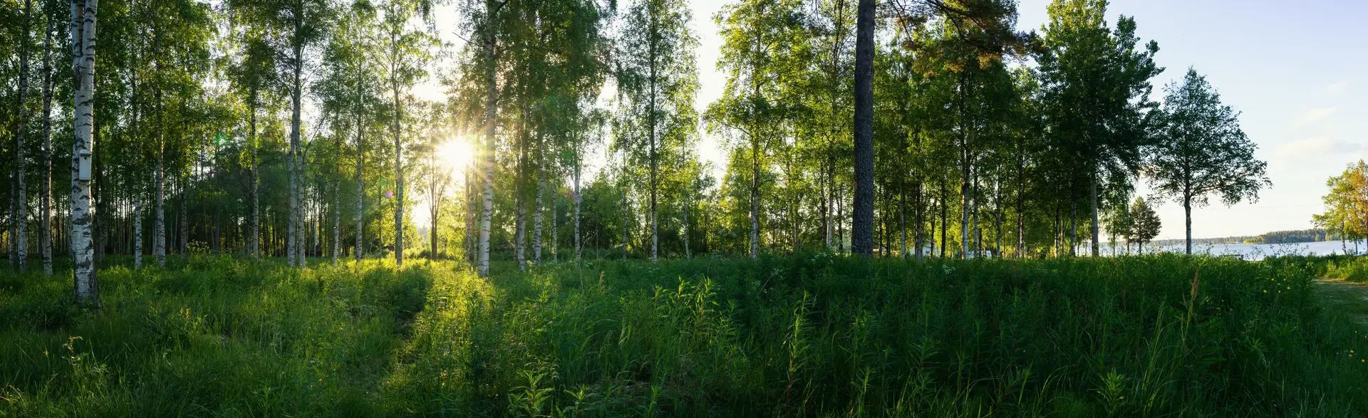 Ventilation i Sverige — FTXventilationPris.se